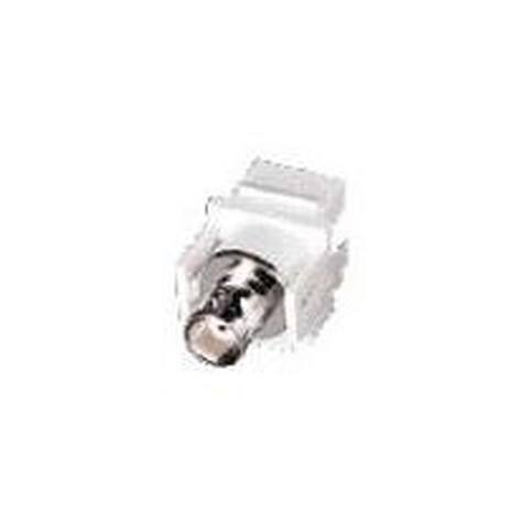 Insertion de Module BNC pour Keystone