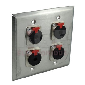 Stainless steel dual wallplate with 4 X NJ3FP6C 1/4