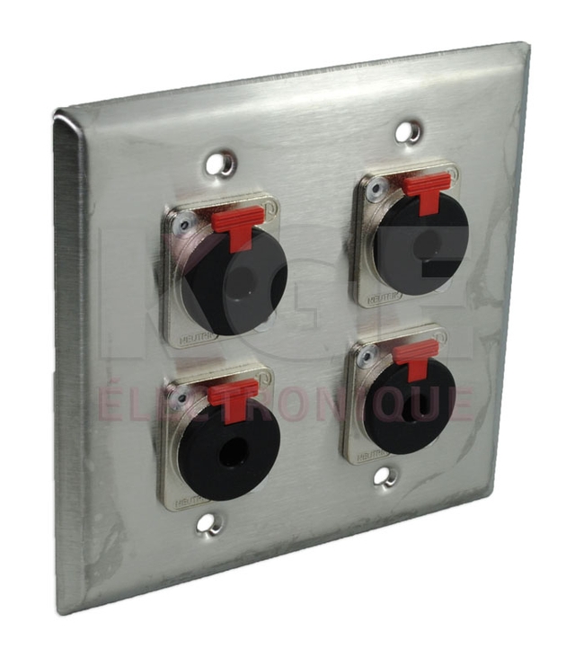 Stainless steel dual wallplate with 4 X NJ3FP6C 1/4