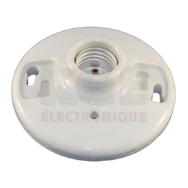 Porcelain light fixture