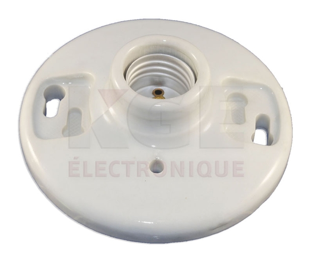 Porcelain light fixture