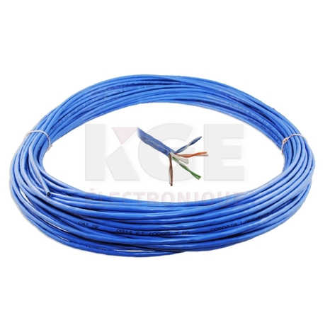 Blue 100ft CAT-5E network wire