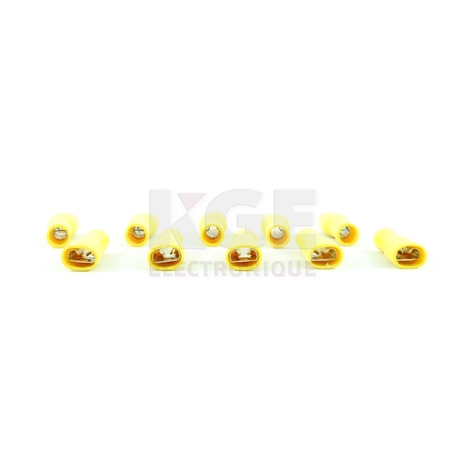 10-Pack 0.250