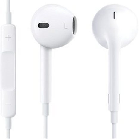 Earphones with Remote & Mic