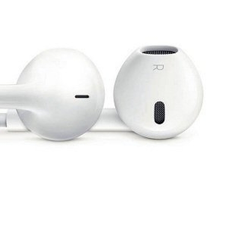 Earphones with Remote & Mic