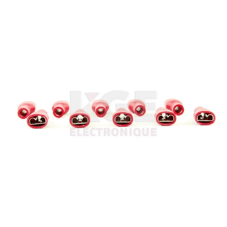 10-Pack 0.250