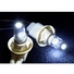 2-Pack White 194 LED Bulbs