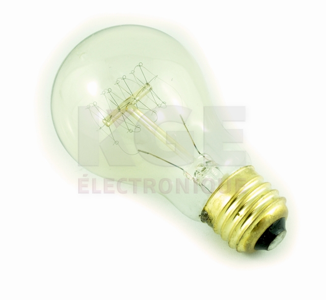 E26 A19 Quad. Incandescent Bulb