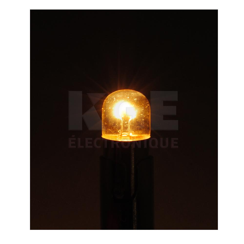 Lumières 12V 2.2W qui vis Paquet de 2