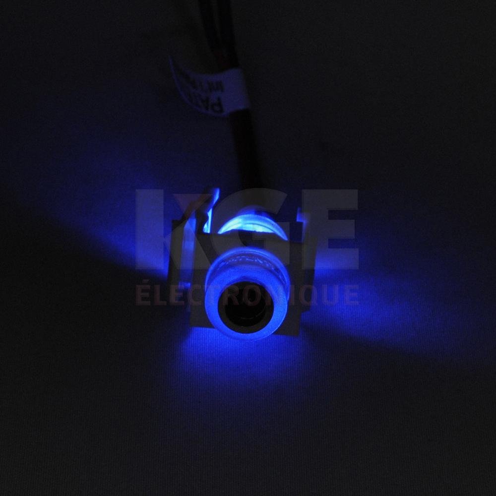 LED-Illuminated DC Jack to Snap-In Terminal Block, with 2.5” Wire