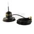 Little Wil Base Loaded Antenna