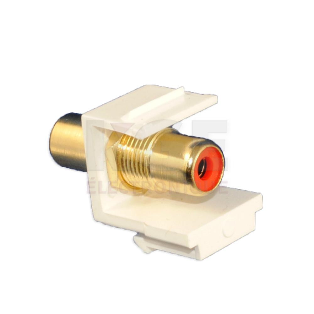RCA Plaqué Or pour insert keystone