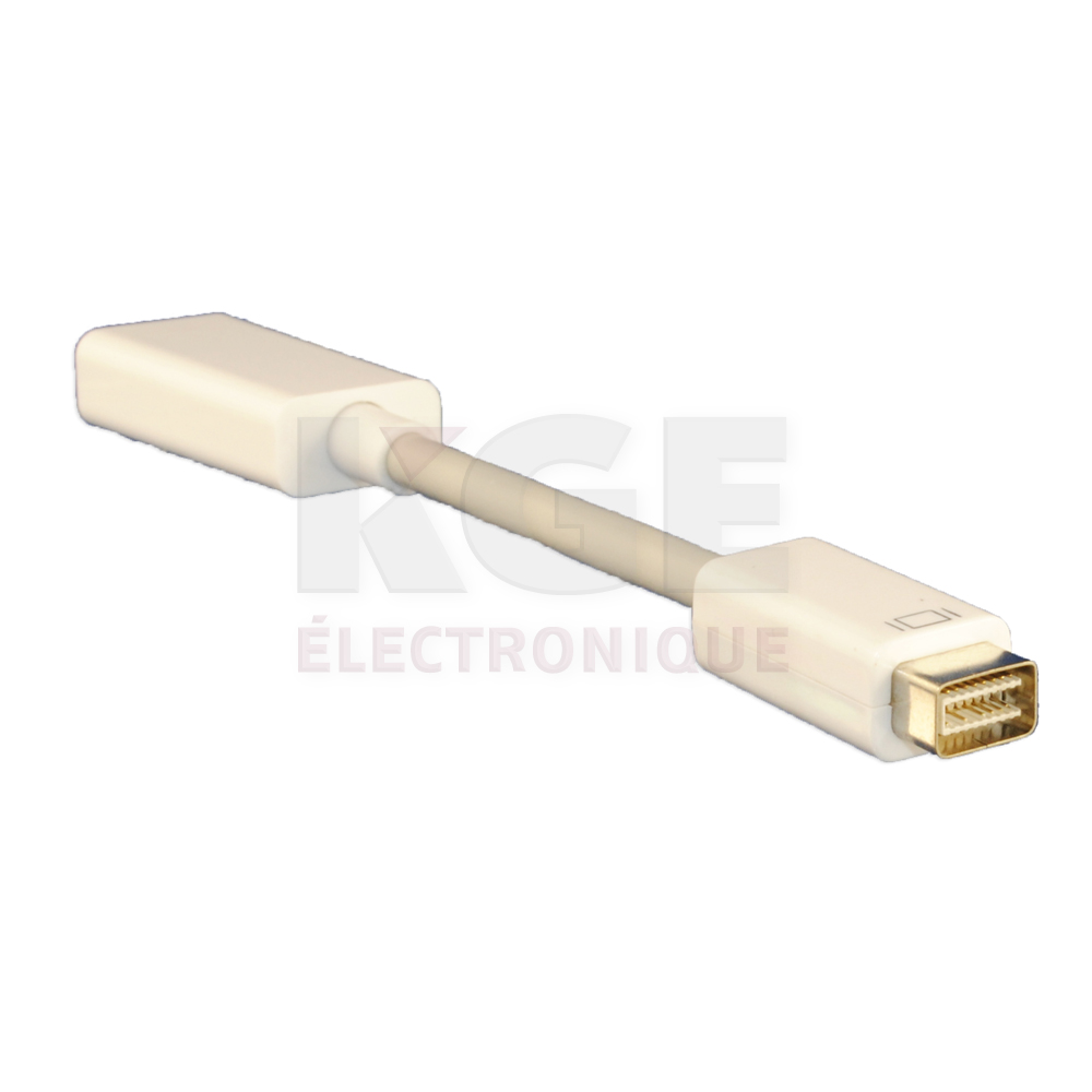 Adaptateur Mini DVI à HDMI
