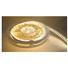 19.2W Cold White 5 Meter Adhesive LED Strip
