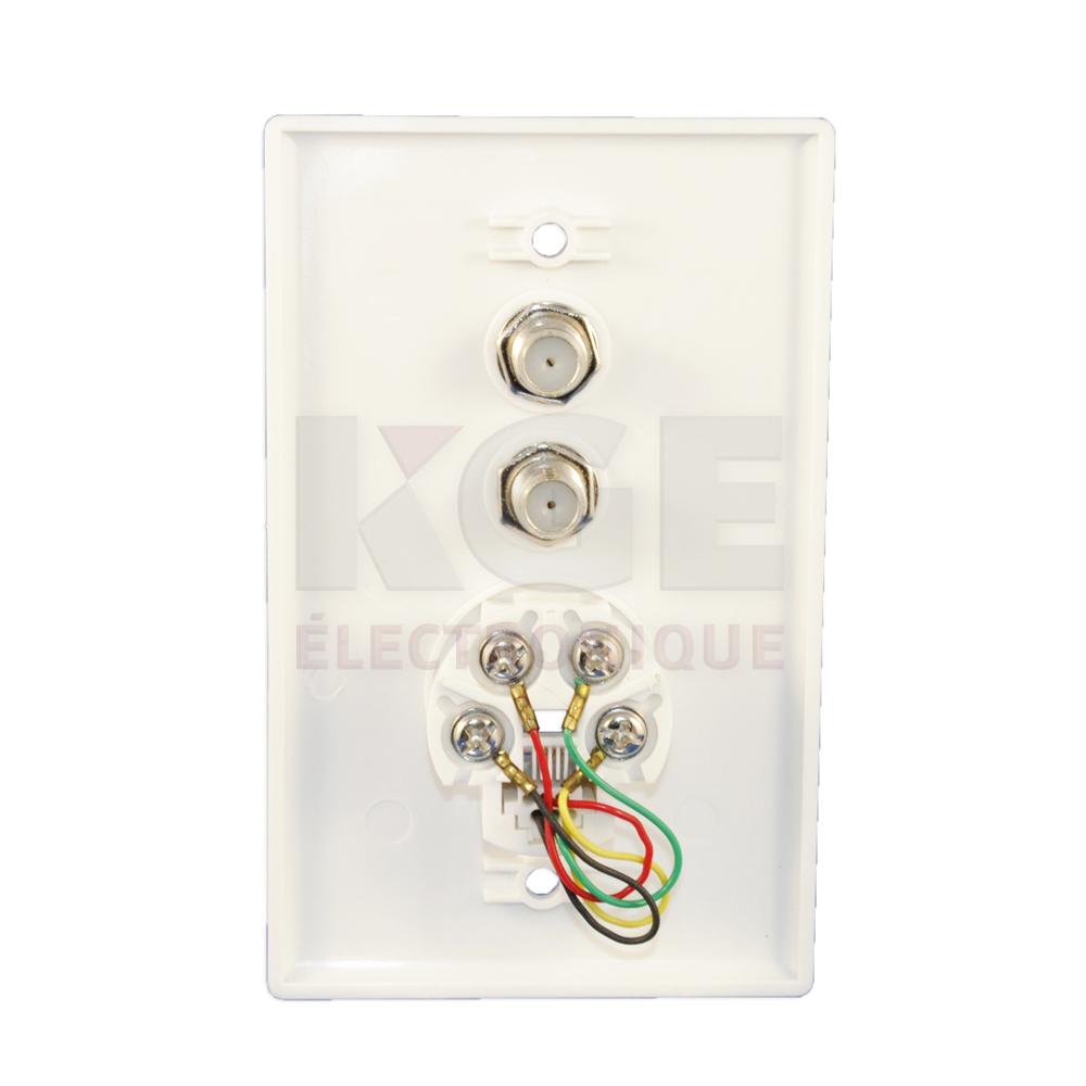 6P4C Modular Wall Plate with 2 Female Cable Jacks