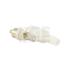 Phono (RCA) Plug - White