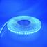 9.6W Blue 5 Meter Adhesive LED Strip