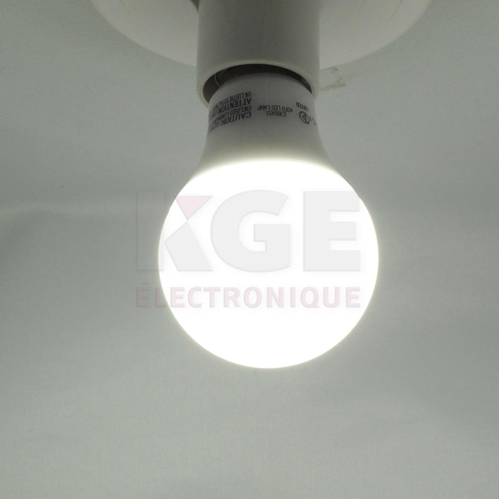 DEL type A 9W blanc froid