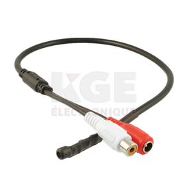 CCTV spy microphone