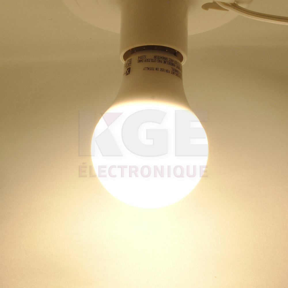 DEL type A 9W blanc doux