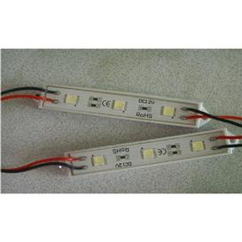 Module DEL 3 DELS, 5050, 0.06A, 0.72W, IP65, 12VDC,12-14 LM/D