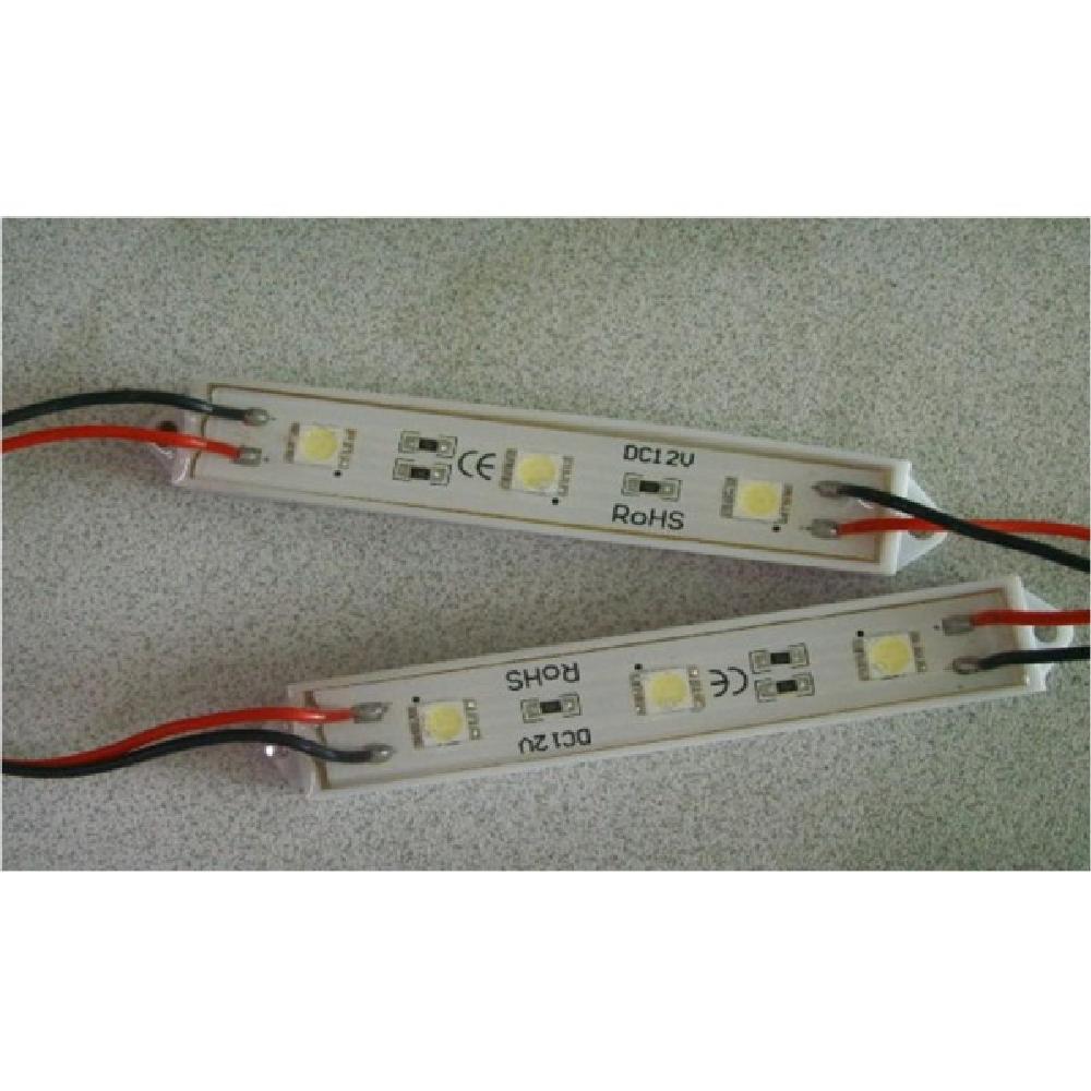 Module DEL 3 DELS, 5050, 0.06A, 0.72W, IP65, 12VDC,12-14 LM/D