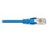 CAT6 Patch Cable - 50'
