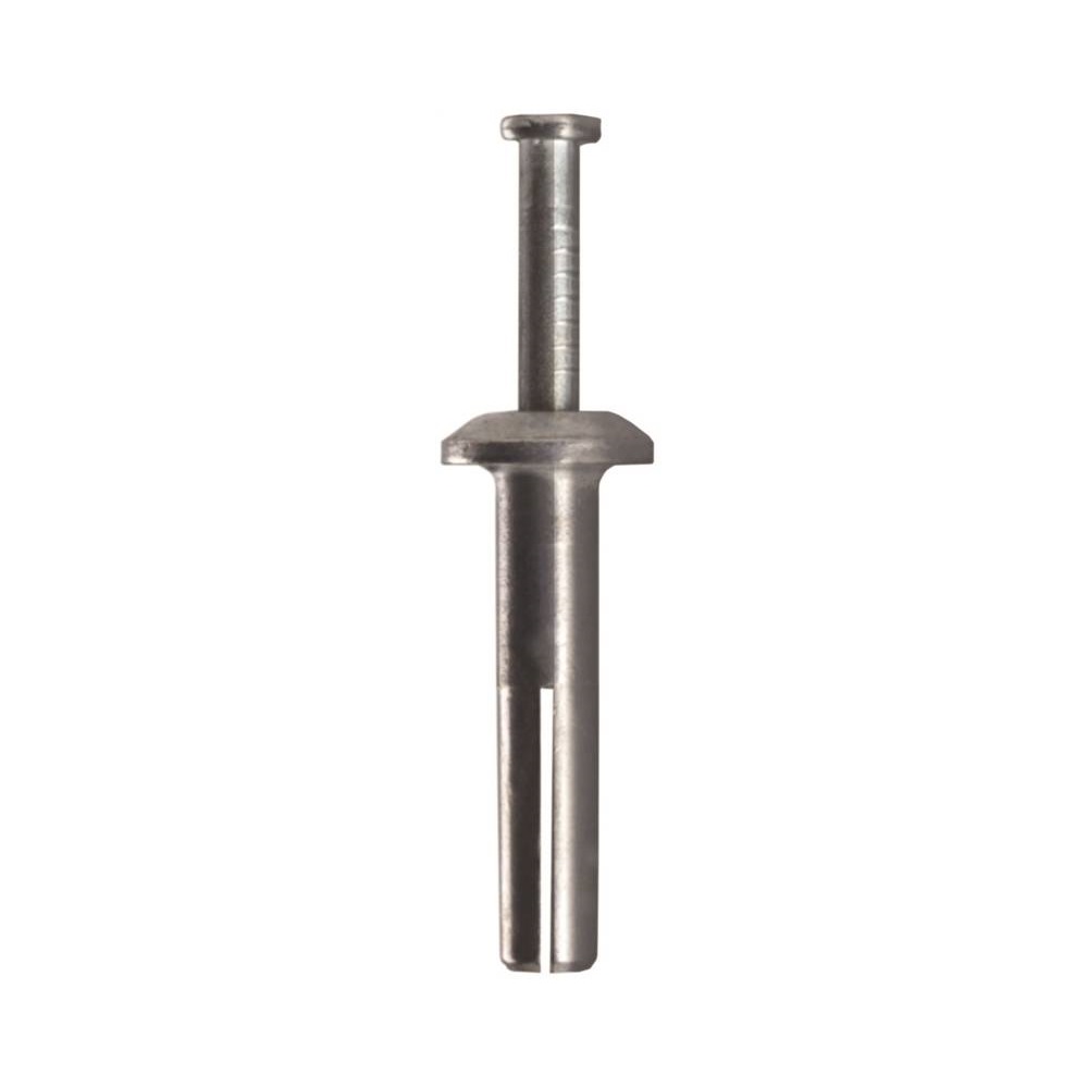 Pack of 25 383V Drive Nail Anchor 1/4