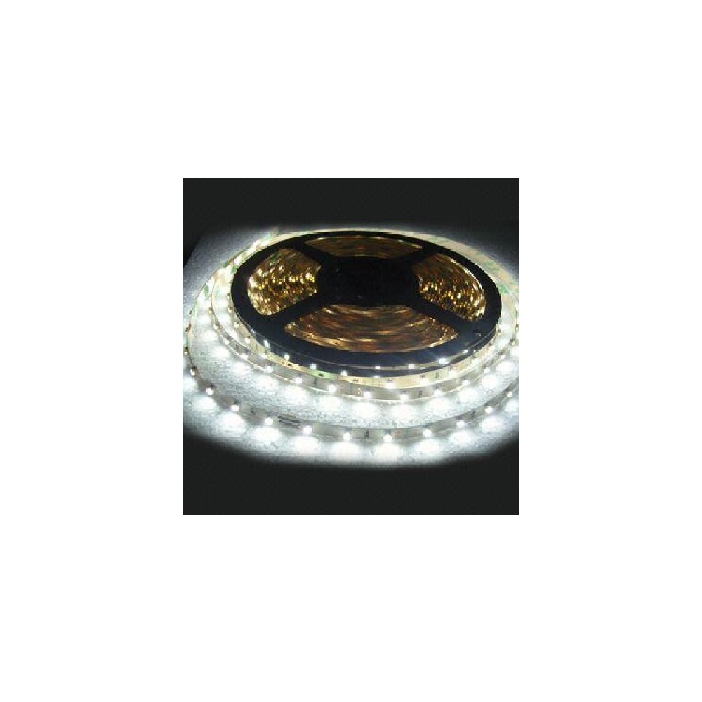 Bande de DEL 5m 5050SMD IP65 60DEL/m - Blanc Froid