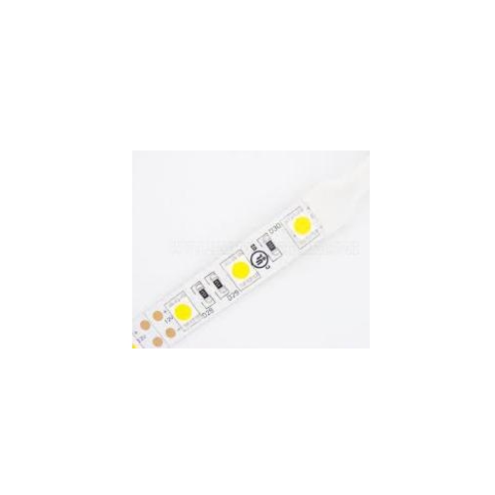 RGB LED Ruban 1' 4.5W IP66 12VDC