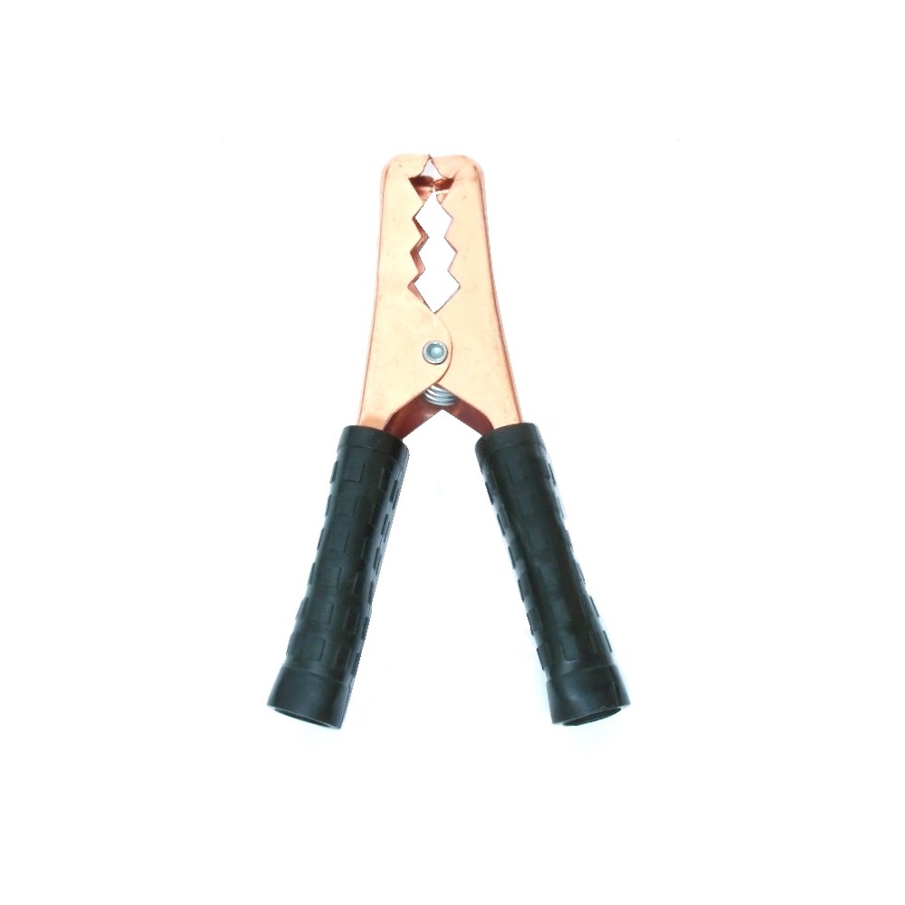 Paquet de 2 Pinces Alligators 100A - Noir et Rouge