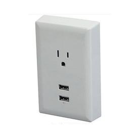 Plaque Murale Électrique avec 2 Ports USB 2.1A