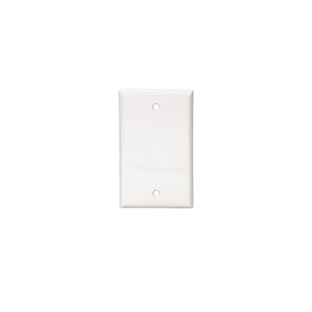 Blank Wall Plate - White