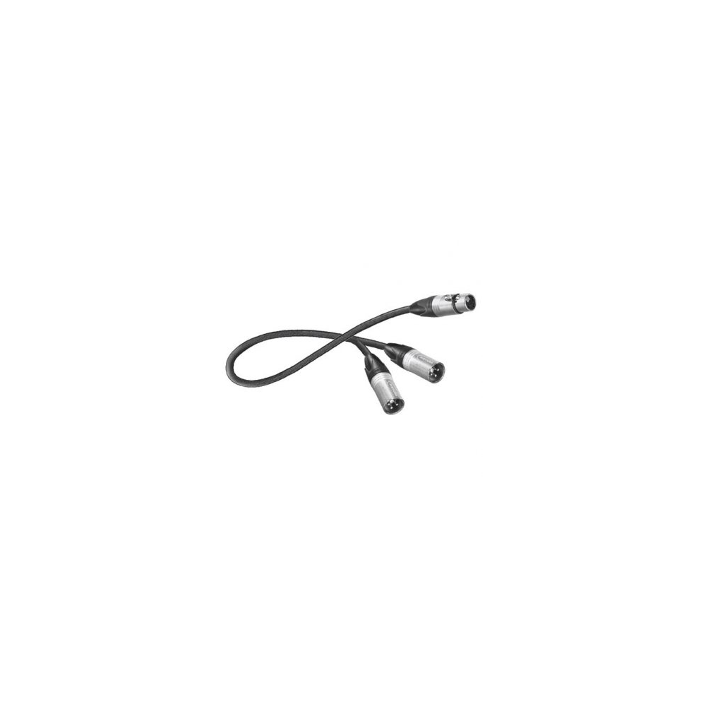 Female XLR to 2 Male XLR
