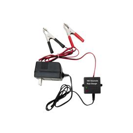 Chargeur Batterie 12V - W2985