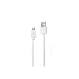 Câble Lightning 3m