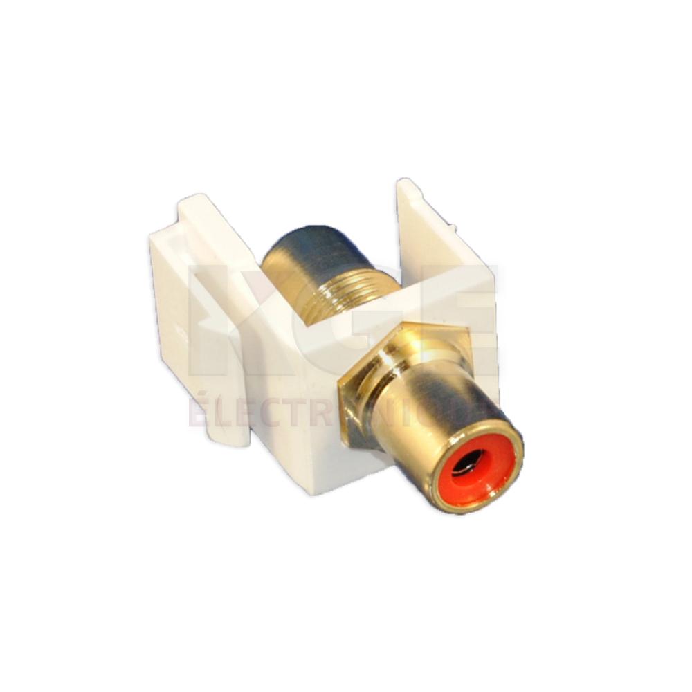 RCA Plaqué Or pour Module