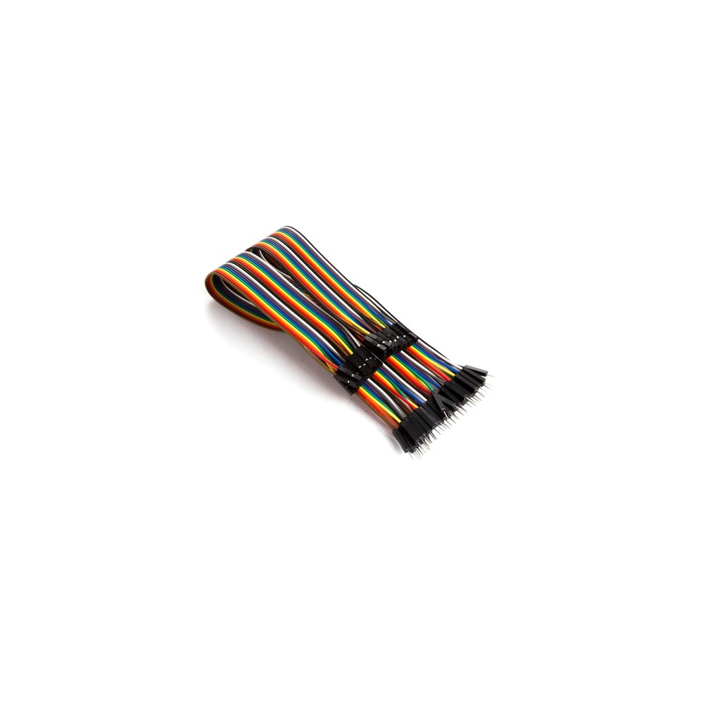 Câble de Liaison 40 Broches 20cm Mâle vers Femelle (Câble Plat)
