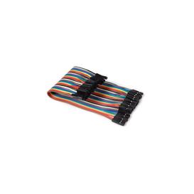 Câble de Liaison 40 Broches 20cm Femelle vers Femelle (Câble Plat)