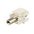 3.5mm Wall Plate F/F Insert