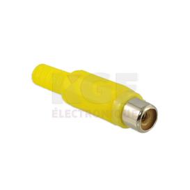 Fiche RCA Femelle - Jaune