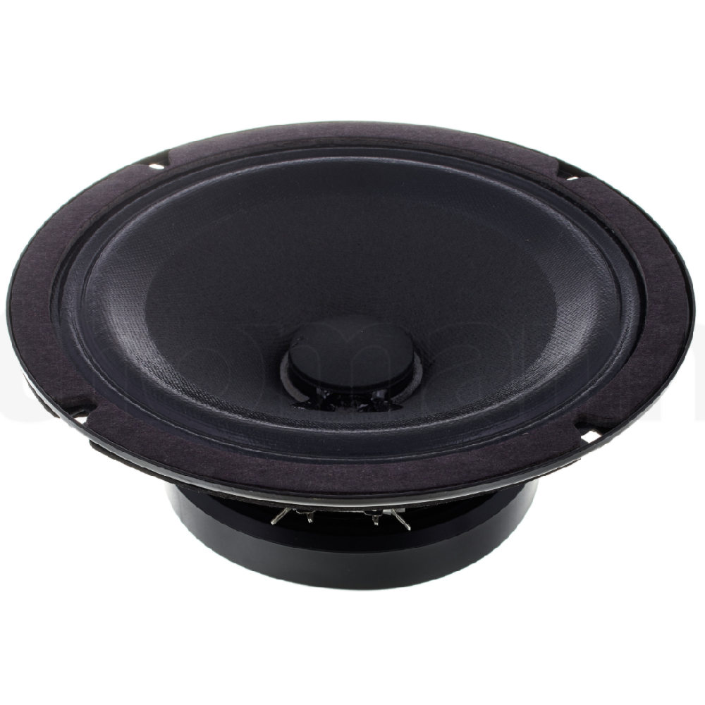 Eminence Speaker 8