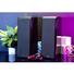 Microlab SOLO 19 Bluetooth Speaker