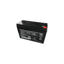 Batterie 12V 7Ah pour Système d'Alarme