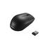 Souris compacte sans fil Lenovo 300 - Noir