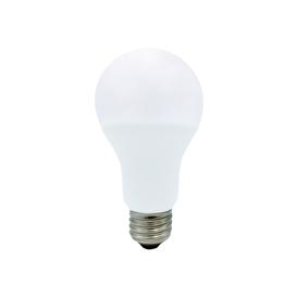 DEL Type A 17W / 120V / E26 / 5000K Lumière du jour graduelle