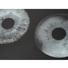 GD8000EYE1-c
