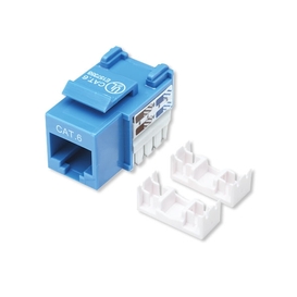 Fiche Keystone Cat6 - Bleue