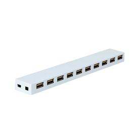 Hub USB 2.0 10-Ports