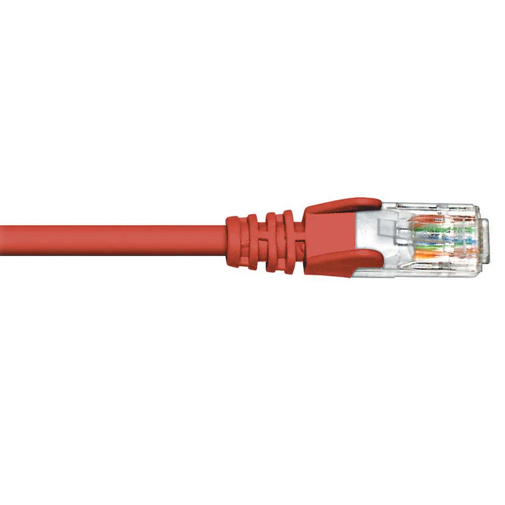 Câble de raccordement CAT5e - 100 pieds